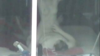 Nofinofy mijery blonde volo tsara tarehy voadona